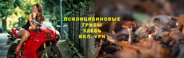2c-b Осташков