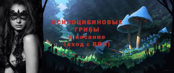 2c-b Осташков