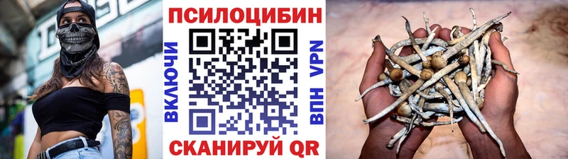 где купить наркоту  Чкаловск  omg зеркало  Псилоцибиновые грибы прущие грибы 