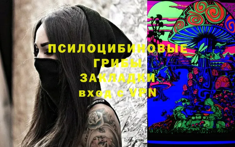 мега как войти  Чкаловск  Галлюциногенные грибы Psilocybine cubensis 